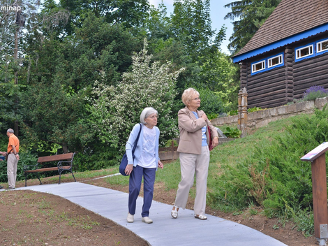 Galéria képei
