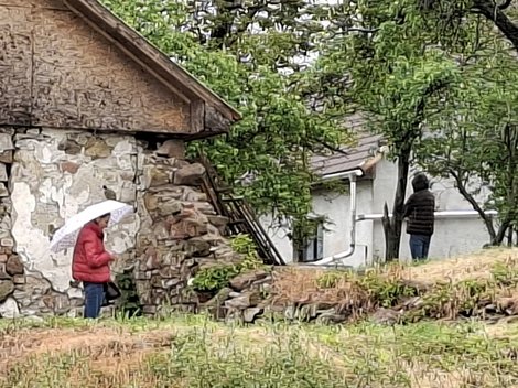 Galéria képei